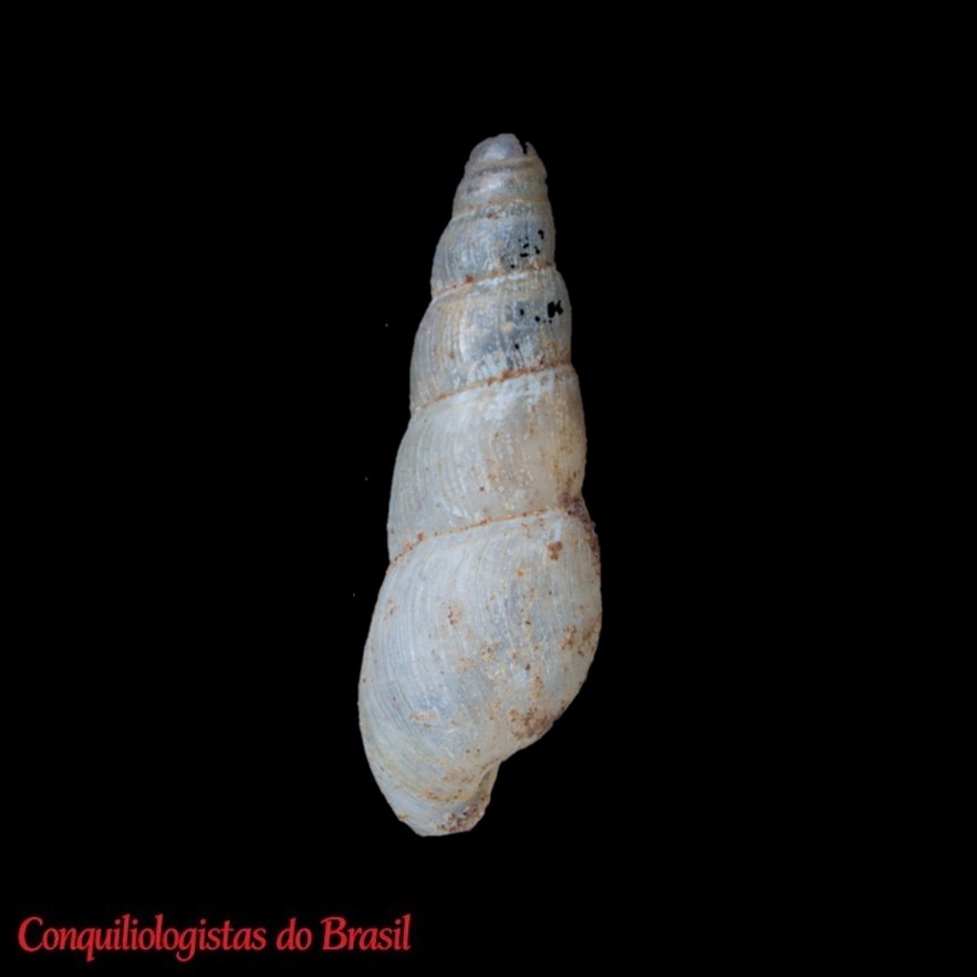 product-thumb